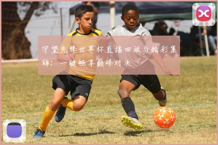 守望先锋世界杯直播回放与精彩集锦：一键畅享巅峰对决