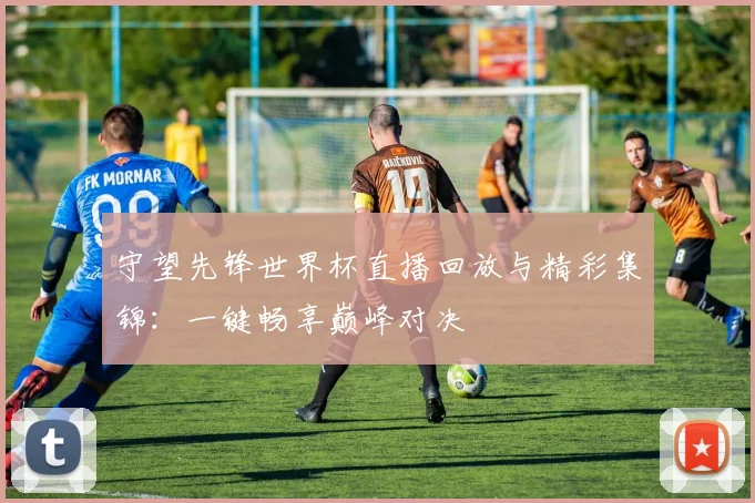 守望先锋世界杯直播回放与精彩集锦：一键畅享巅峰对决